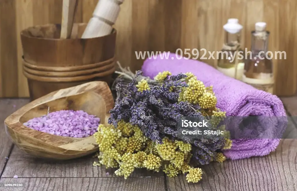 桑拿类型