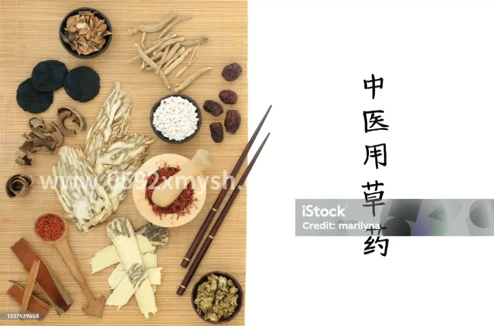 会所推荐