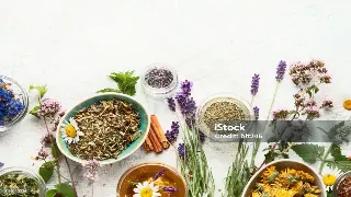 厦门桑拿新玩法：告别疲惫，解锁身心SPA的秘密花园！