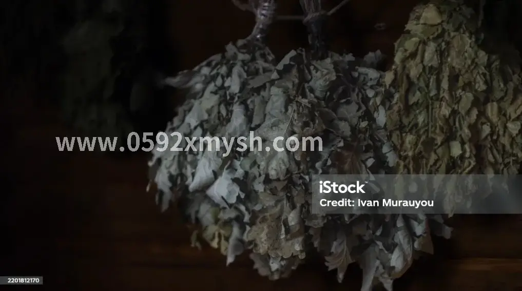 桑拿后享用健康饮品